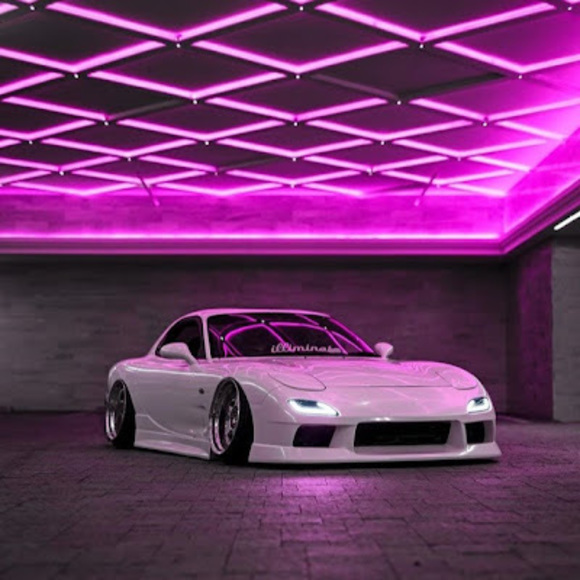 Meet your Posher, Timothy - Picture 1 of 1